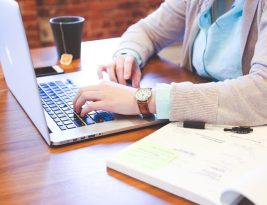 Sustainable Startups Shaping the Future