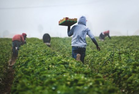 Farming - man in gray hoodie and black pants holding brown cardboard box