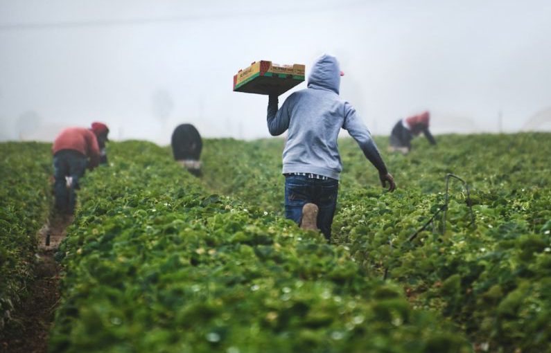 Farming - man in gray hoodie and black pants holding brown cardboard box