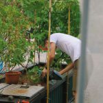 Urban Farming - man in white t-shirt and white pants holding brown wooden stick