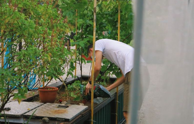Urban Farming - man in white t-shirt and white pants holding brown wooden stick