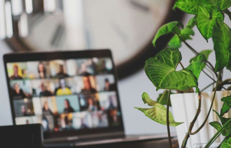 Remote Work - black flat screen tv turned on near green plant