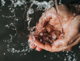 Clean Water and Sanitation Startups