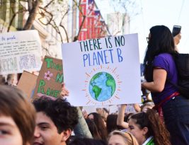Environmental Startups Fighting Climate Change