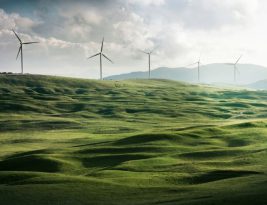 Green Energy Startups on the Rise