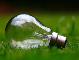 The Rise of Green Energy Businesses