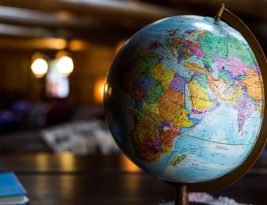 Export Licensing and International Trade