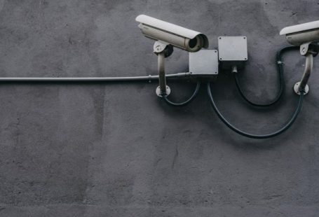 Data Privacy - Two Gray Bullet Security Cameras